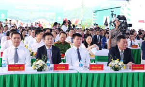 Lào Cai khởi công nhiều dự án trọng điểm, tạo tiền đề mở rộng không gian phát triển