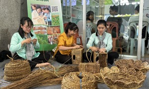 Khi  lá cỏ, xơ mướp thành “vàng xanh” lên kệ hàng thế giới