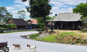 Xây dựng gói tín dụng ưu tiên cho phát triển kinh tế - xã kq bongdaso vùng miền núi