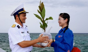 Chiến dịch “Triệu cột mốc xanh”: Chung tay phủ xanh Trường Sa 