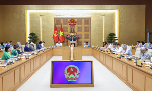 Thủ tướng yêu cầu triển khai mạnh mẽ, thực chất các giải pháp, chương trình phát triển kinh tế tư nhân