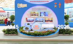 Chùm ảnh: Dấu ấn ngành Tài chính trong thành tựu 80 năm của Đất nước