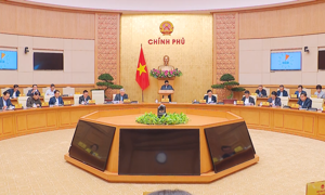 VIDEO: Cải cách thủ tục thuế: Bãi bỏ hàng loạt quy định rườm rà!