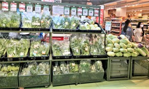 Triển vọng xuất khẩu nông sản những tháng cuối năm