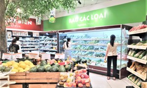 Tăng cường truy xuất nguồn gốc, đảm bảo chất lượng nông, lâm, thủy sản xuất khẩu