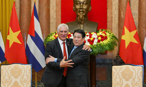 Bí thư Thứ nhất, Chủ tịch nước Cuba Miguel Diaz-Canel Bermudez hội kiến Chủ tịch nước Lương Cường