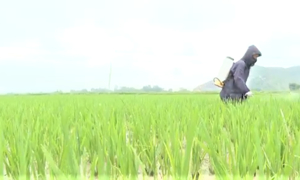 Đổi mới hoạt động khuyến nông trong tình hình mới