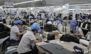 TP. Đà Nẵng: Tổng thu ngân sách 8 tháng đạt gần 36.000 tỷ đồng