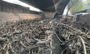 Yêu cầu di dời ngay bãi trông giữ xe ra khỏi phạm vi bongdaso danh sách các trận đấu vệ kết cấu hạ tầng đường bộ