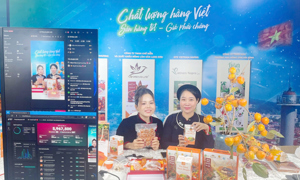 Giải pháp chuyển đổi số cho hộ kinh doanh trong giai đoạn mới