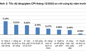 Chỉ số giá tiêu dùng tháng 12/2022