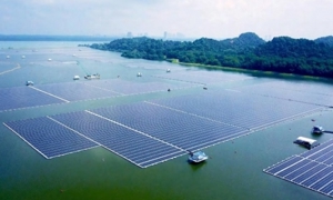 Singapore "khát" năng lượng xanh, cơ hội lớn cho các nước ASEAN