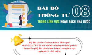 INFOGRAPHIC: Bãi bỏ 08 thông tư bongdaso com lĩnh vực ngân sách nhà nước