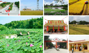 Điều chỉnh vốn ngân sách thực hiện Chương trình mục tiêu quốc gia xây dựng nông thôn mới 