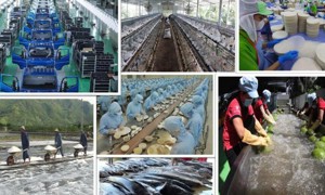 Tổng Bí thư Tô Lâm và tư duy lý luận mới về kinh tế tư nhân