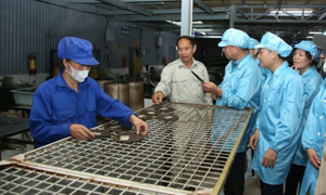 Sơn La hỗ trợ doanh nghiệp vừa và nhỏ phát triển hiệu quả