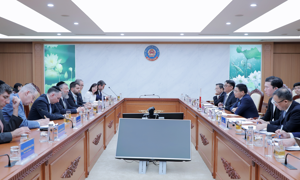 Thúc đẩy hợp tác lĩnh vực an sinh xã hội giữa Việt Nam và Israel 