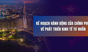 Kế hoạch hành động của Chính phủ về phát triển kinh tế tư nhân