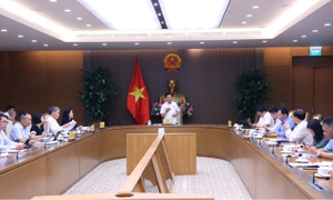 Nghiên cứu kỹ lưỡng việc phân cấp, phân quyền gắn với phân định thẩm quyền trong lĩnh vực tài chính