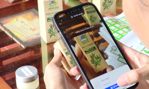 Ninh Bình: Ứng dụng chuyển đổi số hiệu quả trong phát triển kinh tế hợp tác xã