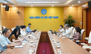 Thúc đẩy bao phủ an sinh xã hội toàn diện và bền vững