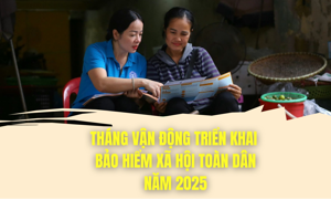 INFOGRAPHIC: Những con số ấn tượng trong Tháng Vận động, triển khai bảo hiểm xã hội toàn dân năm 2025