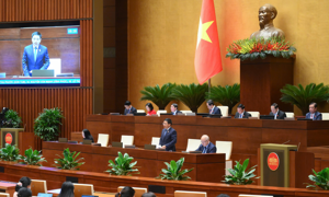 Hộ kinh doanh đóng cửa do lo sợ kiểm tra nguồn gốc hàng hoá, không phải do chính sách thuế