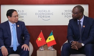 Senegal mong muốn Việt Nam tiếp tục hỗ trợ sản xuất lúa gạo và hạt điều