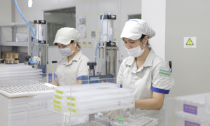 VIDEO: Chuyển đổi kép - Hướng đi tất yếu cho doanh nghiệp nhỏ và vừa