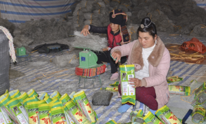 Thúc đẩy tài chính toàn diện và phát triển kinh tế hợp tác trong nền kinh tế số