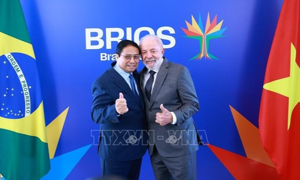 Tăng cường quan hệ Việt Nam - Brazil tương xứng với quan hệ Đối tác chiến lược