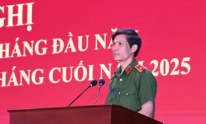 Hơn 11.600 vụ án ma túy bị triệt phá trong 6 tháng đầu năm 2025