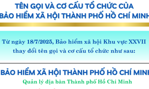 INFOGRAPHIC: Tên gọi và cơ cấu tổ chức của Bảo hiểm xã hội Thành phố Hồ Chí Minh