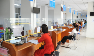 Kế hoạch triển khai thủ tục hành chính theo cơ chế một cửa lĩnh vực tài chính