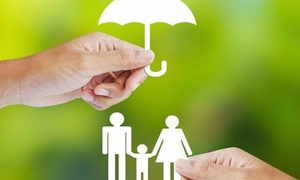 Nhận biết tổ chức tín dụng đã tham gia bảo hiểm tiền gửi để an tâm gửi tiền