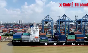 Logistics xanh- hướng đi bền vững cho tương lai