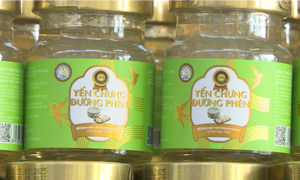 Khởi tố doanh nghiệp sản xuất yến chưng giả tại Phú Thọ