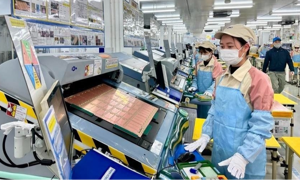 INFOGRAPHIC: Bức tranh doanh nghiệp Việt Nam trong 7 tháng đầu năm 2025