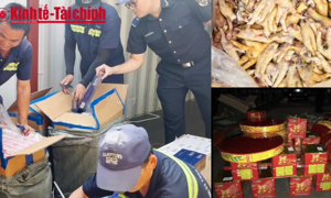 VIDEO: Tuyên chiến không khoan nhượng với thuốc giả, thực phẩm giả