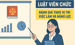 VIDEO: Đánh giá viên chức theo vị trí việc làm và năng lực