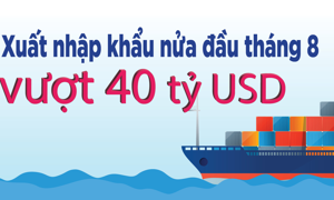 Xuất nhập khẩu nửa đầu tháng 8 vượt 40 tỷ USD