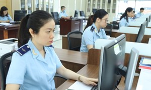  Hải quan Quảng Ninh thành lập Tổ quản lý và tăng thu ngân sách nhà nước