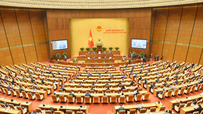 Kỳ họp bất thường thể hiện quyết tâm đổi mới mạnh mẽ của nhiệm kỳ Quốc hội khóa XV