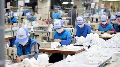Xây dựng và bảo vệ thương hiệu của doanh nghiệp Việt Nam trong quá trình hội nhập quốc tế