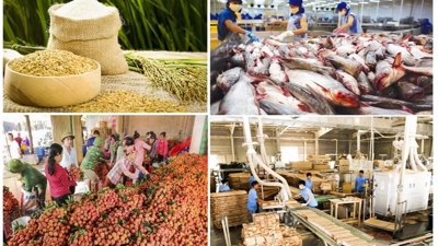 Kết quả sản xuất nông, lâm nghiệp và thủy sản cả nước quý I/2023