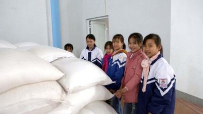 Xuất cấp 56.787 tấn gạo dự trữ quốc gia hỗ trợ người dân