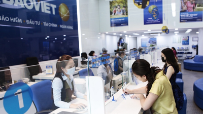 BAOVIET Bank ưu đãi vay sản xuất kinh doanh, tiêu dùng