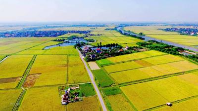 Bộ Tài chính triển khai các nhiệm vụ về nông nghiệp, nông dân, nông thôn