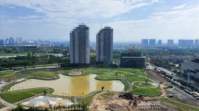 Quyền và nghĩa vụ của ngân hàng bảo lãnh nhà ở hình thành trong tương lai