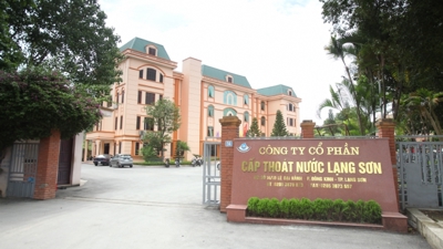 Vi phạm công bố thông tin, 2 doanh nghiệp bị phạt hàng trăm triệu đồng